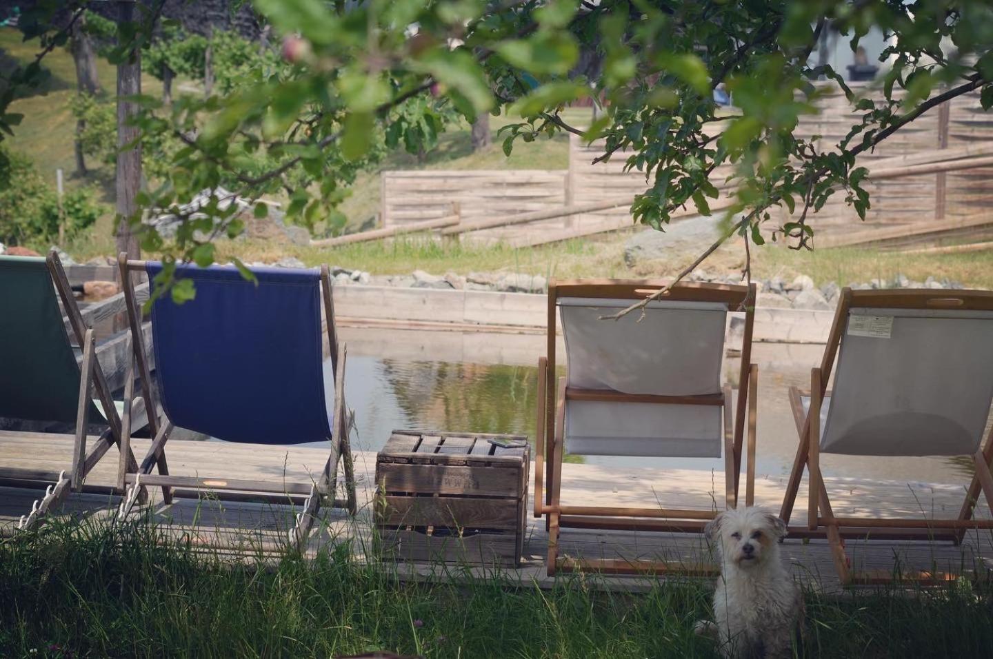 Aparthotel Fugger Alm Weichselbaum Exteriér fotografie