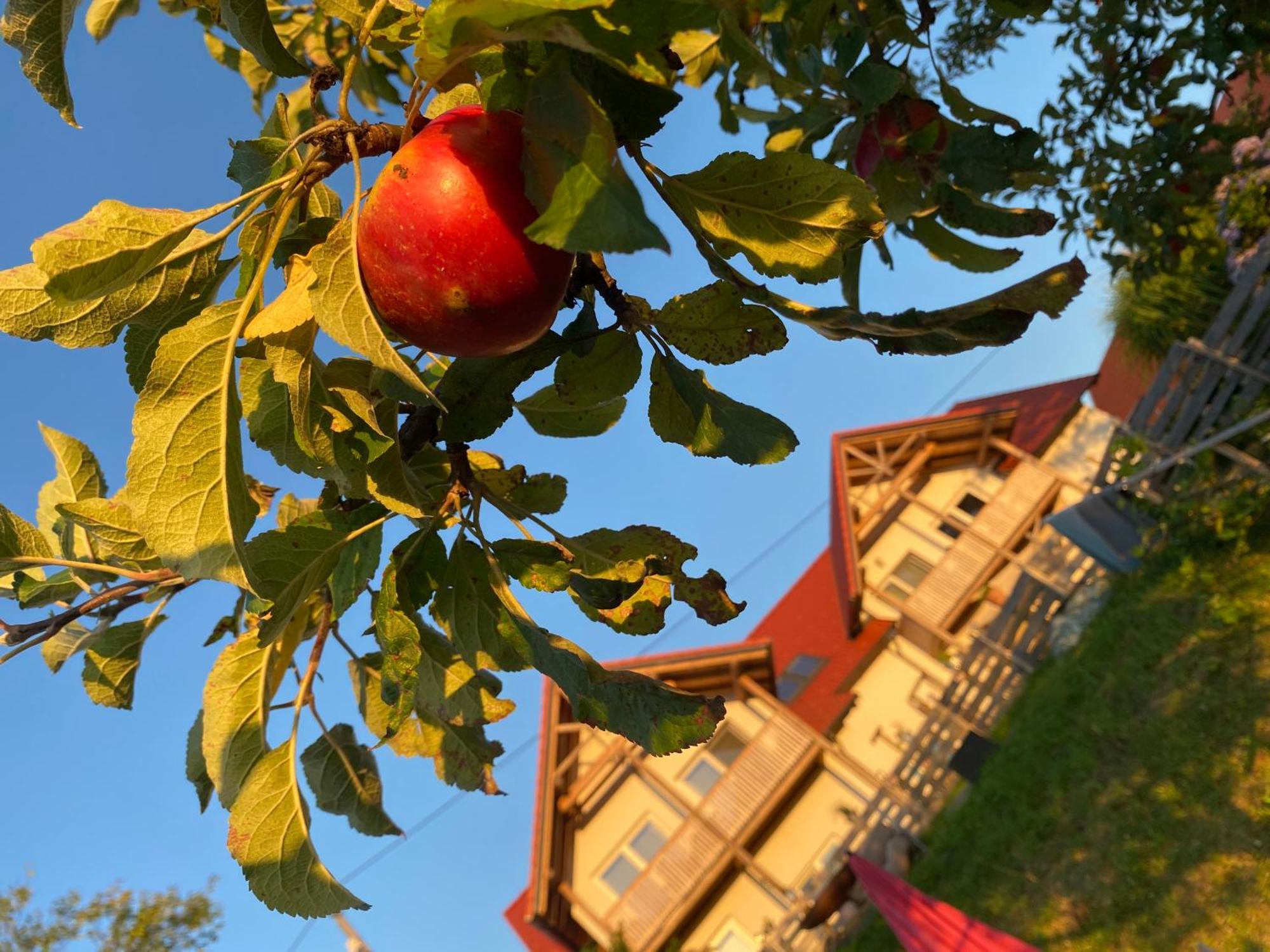Aparthotel Fugger Alm Weichselbaum Exteriér fotografie